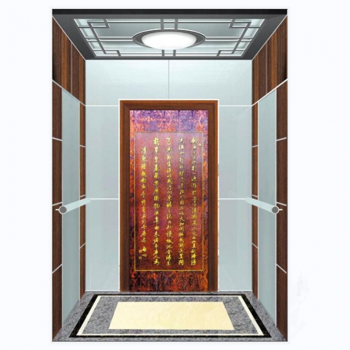 Automatic Passenger Elevator