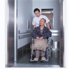 Chinese Disabled Elevator