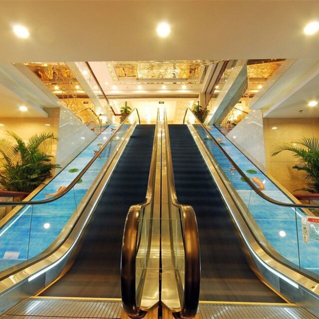 Indoor Escalator