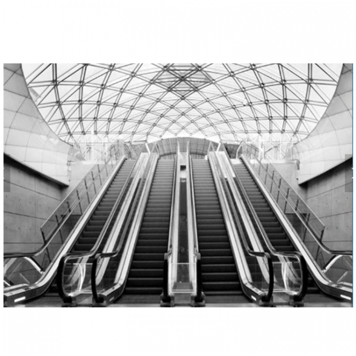 China Escalator manufacturer